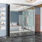 Stylish Mirror Wardrobes with Lights