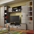 LARISA TV UNIT SET
